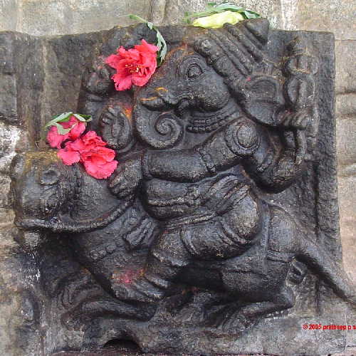 Ganesha riding on his mouse. Note the red flowers offered by the devotees. A sculpture at the Vaidyeshwara temple at Talakkadu, Karnataka, India